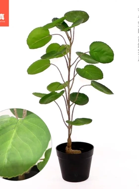 绿色桐福仿真橄榄树大号植物树盆景室内落地橱窗装饰摆件