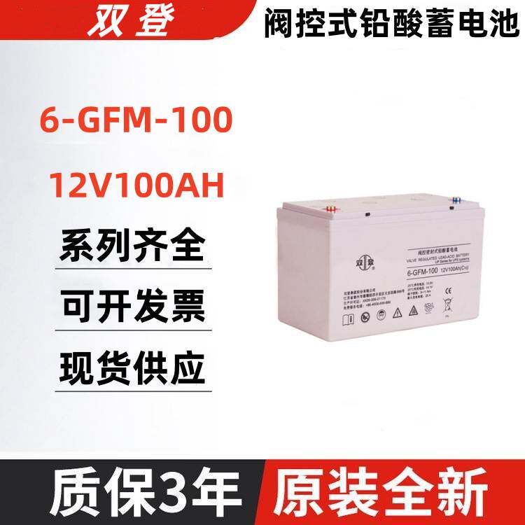 12V100AH双登蓄电池6-GFM-100 光伏发电 通信机房消防UPS应急