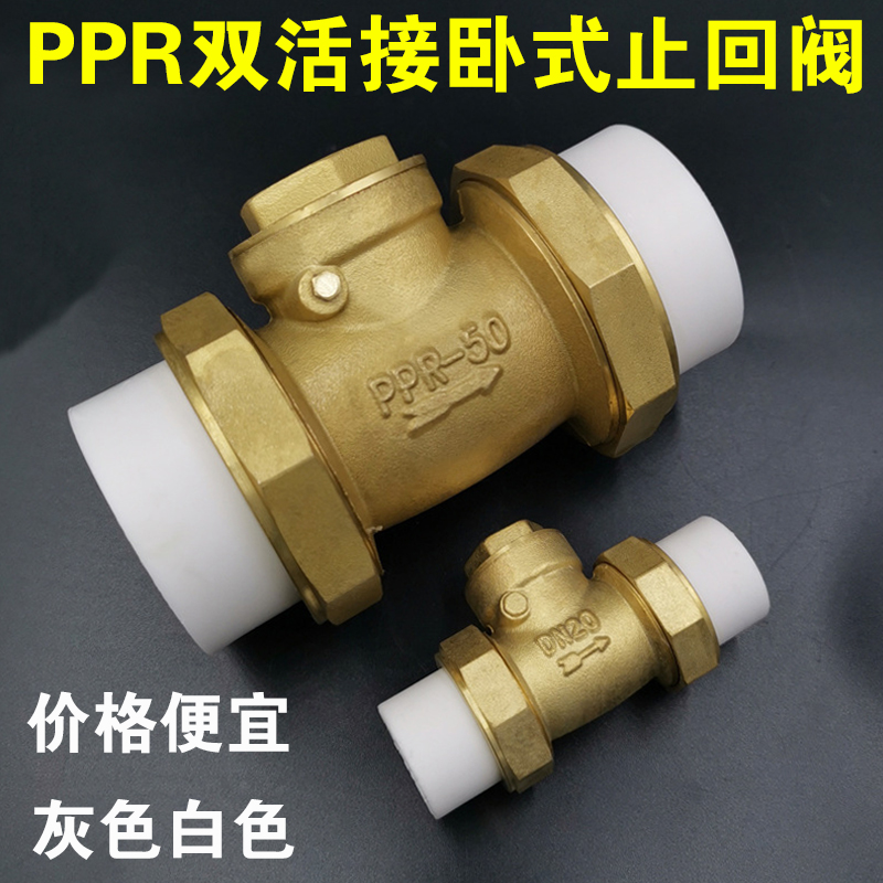 PPR双活接热熔止回阀4分6分 卧式逆止阀 自来水表单向阀 防倒流阀