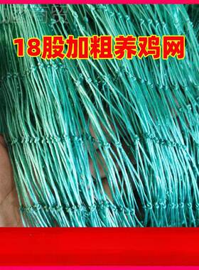 网塑AL798095料养禽网家养殖网天网拦鸡鸭鸡山鸡网防护网菜园围栏