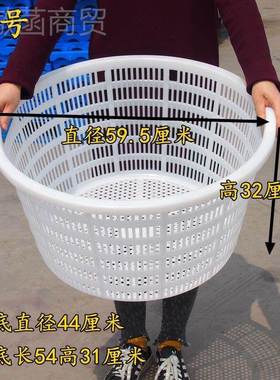 蔬加厚圆形AOX白色西瓜收框鱼虾水框大产号水果筐葡萄菜框杂物纳