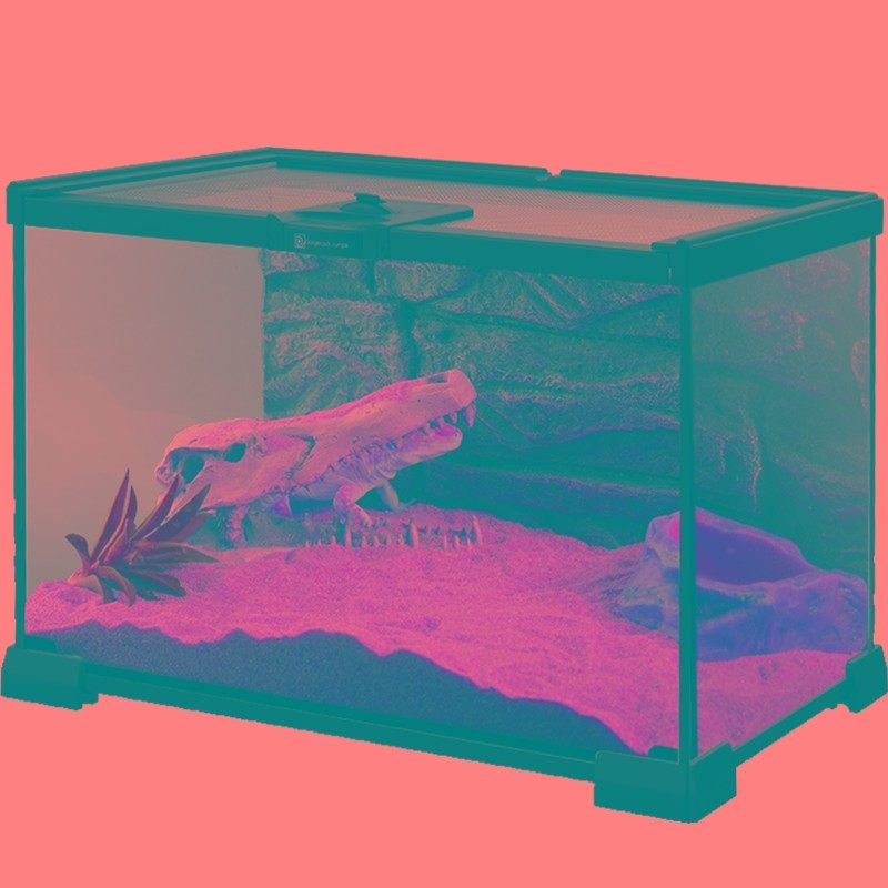 爬虫饲养盒生态箱雨林陆龟角蛙蜥蜴蛇守宫爬宠物鬃狮甲虫玻璃鱼缸,宠物/宠物食品及用品,桌面缸,淘宝优惠券,粉丝福利购,淘宝优惠卷