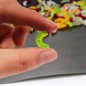 工厂红头面包虫100粒套装 路亚蠕虫假饵鱼饵仿生软饵蛆