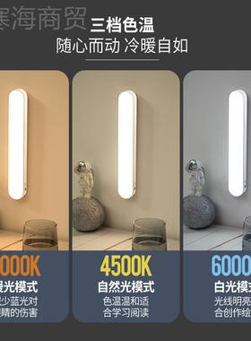 外贸款l阅ed护眼台灯学生读49651宿灯舍磁吸充电床头书桌夜读学灯