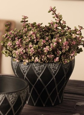 轻侘寂风黑色复古白花盆中式客厅书房绿植多肉仿旧花器陶盆高颜值