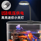 小鱼缸夹灯插头款 鱼缸灯 变色调光照明水草灯小型水族箱