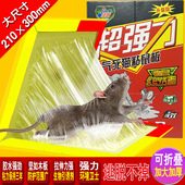 粘鼠板粘老鼠板抓大号老鼠沾逮鼠捕鼠灭鼠器直销 包邮