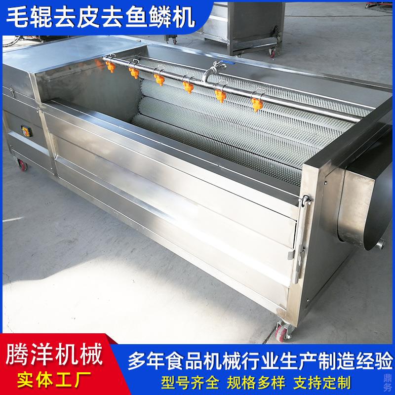 连续式毛辊清洗机多功能柑橘苹果平行清洗机果蔬成套加工设备