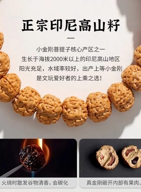 树王爆肉小金刚菩提子佛念珠手串男女士款文玩梅花珠盘玩手链