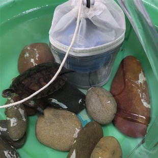 304不锈钢网圆柱形鱼缸潜水泵过滤袋防止吸小鱼出水口管道过滤