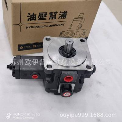 ELITE油泵VP-40+SVP-30+SVP-30+PAVP-40+PA液压油泵ALITE