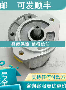 议价ARKERPGP51轮1A0齿080CS2D3NE5E3B1B1泵33491P1派1