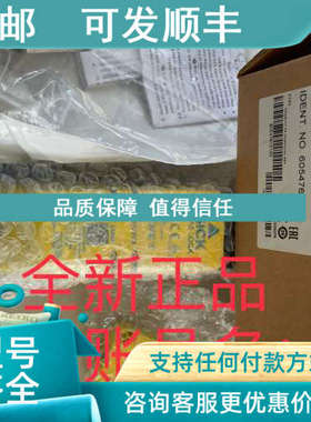 议价6054761 TR10-SLM01CSICK西克安全锁定装置 TR10 Lock