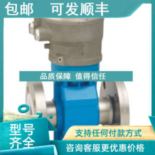 0耐高温 4290 议价E H恩德斯豪斯电磁流量计5P5B65