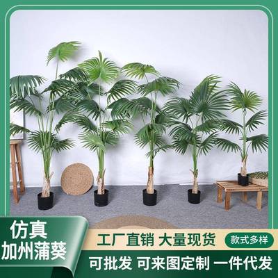 NuSun 贵宾/泰迪幼犬犬粮 2500g仿真新款蒲葵扇葵树北欧风假绿植