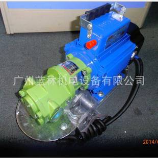 WCB防爆油桶泵WCB 75单相220v防爆齿轮油泵汽油防爆油桶泵