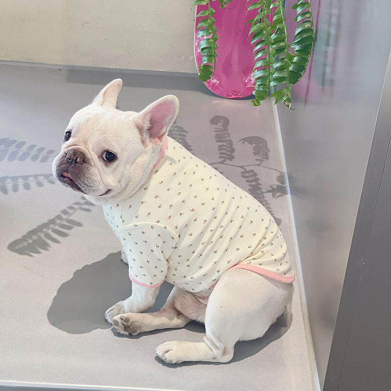 法国斗衣服宠物春秋季穿弹力t恤比熊泰迪薄透气运动衫西部高地夹