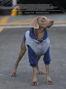 狗狗衣服冬季格子马甲拉布拉多金毛边牧威玛犬保暖衣服大型犬棉衣