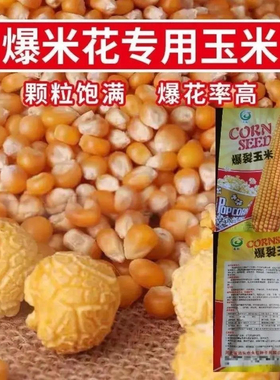 爆米花玉米种子爆裂玉米粒种籽高产早熟爆米花专用南北方大田种植