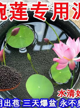 碗莲专用水草泥养荷花睡莲花营养泥土水培植物不浑水鱼缸造景底砂