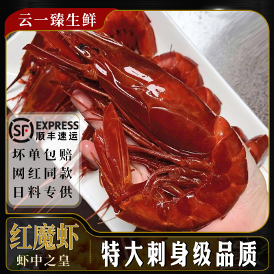 红魔虾刺身特大现货速冻胭脂虾绯红虾甜虾刺身非西班牙进口红魔虾