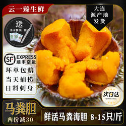 大连马粪海胆鲜活紫黄胆刺身即食日料新鲜海鲜水产500g海胆肉顺丰