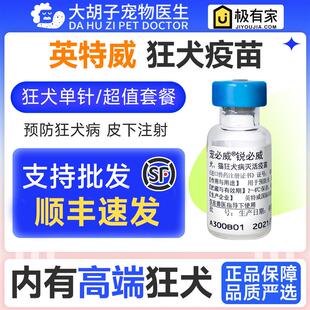 荷兰进口英特威狂犬疫苗犬猫育苗犬用狂犬疫苗单针预防针猫狗防疫