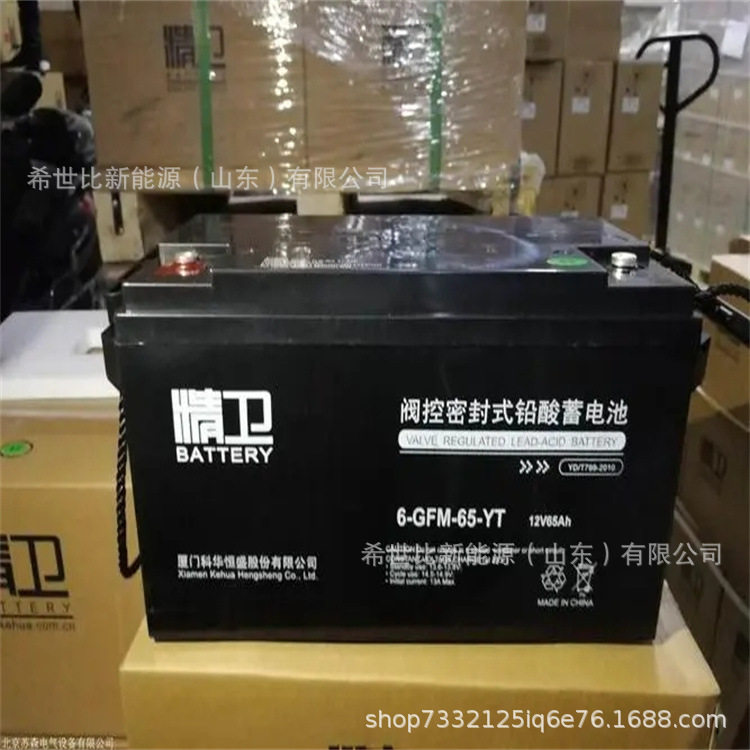精卫蓄电池6-GFM-65-YT12V65AHUPS/EPS电源机柜用蓄电池