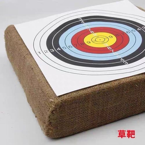 德乐石草靶射箭用品箭靶盘EVA泡棉箭靶高密度厚实耐用50*50*6