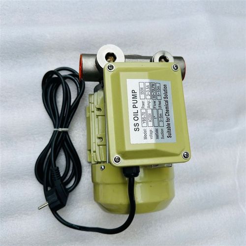 不锈钢加注泵 化工泵 不锈钢泵 单相不锈钢加油泵   SS OIL Pump