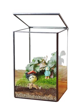 苔藓沉木微景观雨林缸生态瓶造景几何玻璃花房创意植物盆景长方形