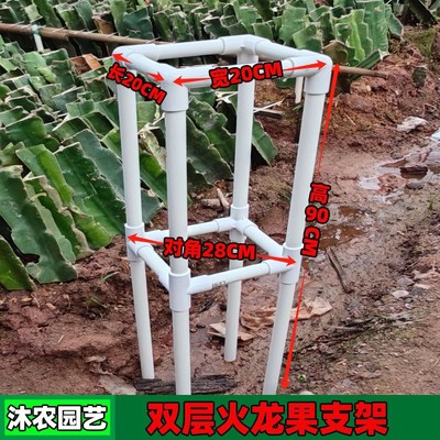 百香果支架火龙果种植支架九尾狐花卉支架专用架花架盆栽地栽支架