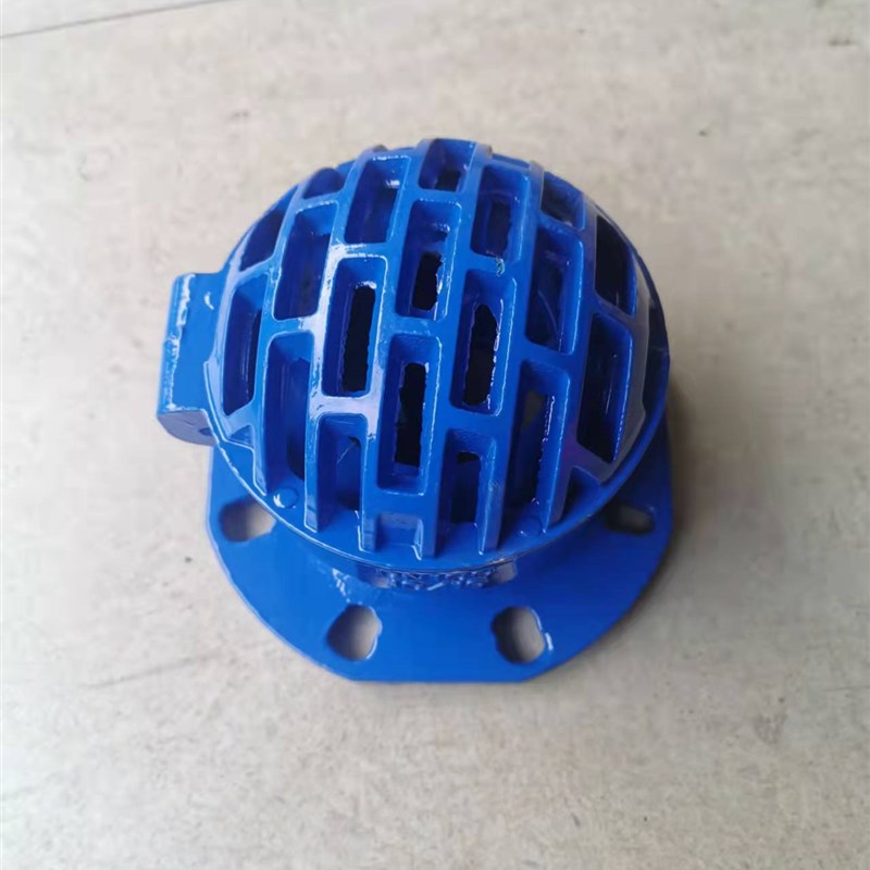 法兰底阀球墨铸铁H42X-10水泵底阀吸水底阀 10公斤6公斤通用新型