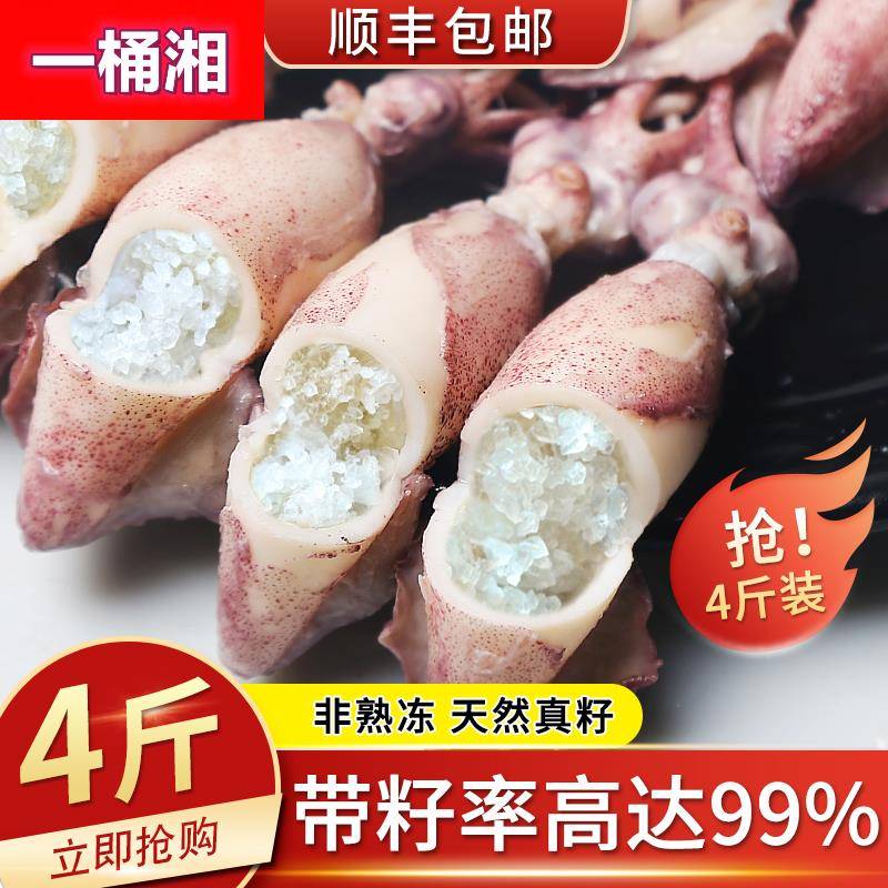 海兔子满籽新鲜活笔管鱼带籽海兔海鲜鲜冻全籽籽乌整箱小鱿鱼水产