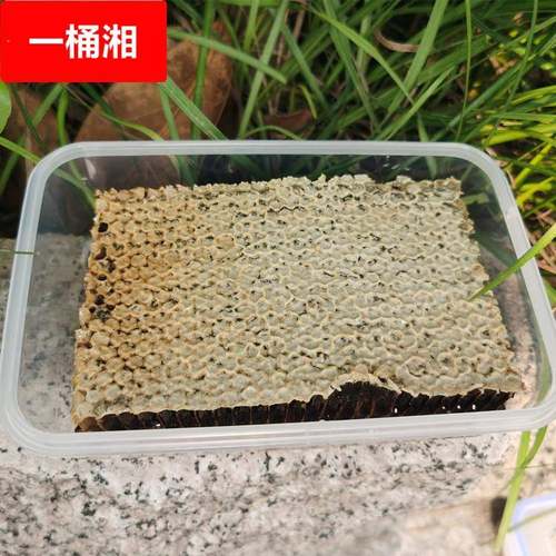 老巢蜜 百花蜜盒装500g荆条蜂蜜 农家蜂场直供土蜂蜜