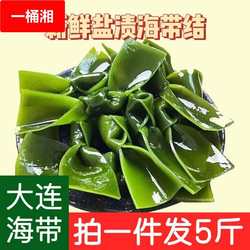 大连旅顺海带结海带扣节新鲜凉拌菜煲汤火锅5斤装海味低脂肪