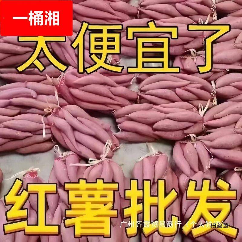 蜜薯新鲜红薯10斤农家香甜薯板栗黄红心烤地瓜糖心小番薯山芋1