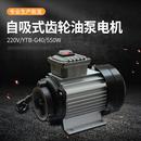 电动齿轮交流抽油泵电机220VYTB G40550w液压油齿轮油机油电机