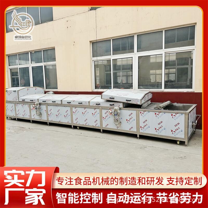 多功能果脯水果干漂烫机连续式小青菜漂烫设备商用西红柿漂烫机