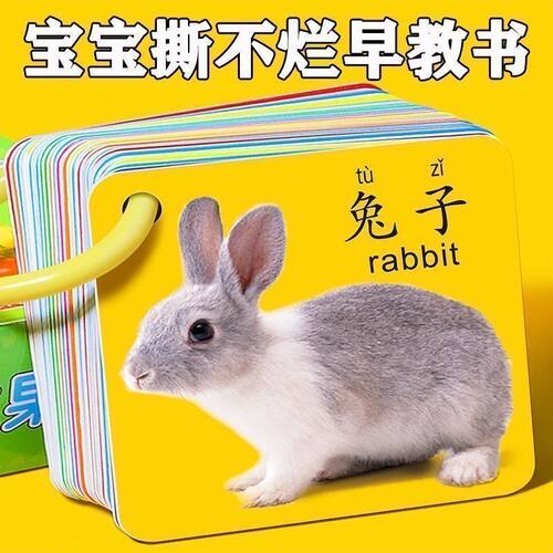 儿童早教书撕不烂早教卡0-6岁宝宝益智早教认知卡儿童启蒙认知卡
