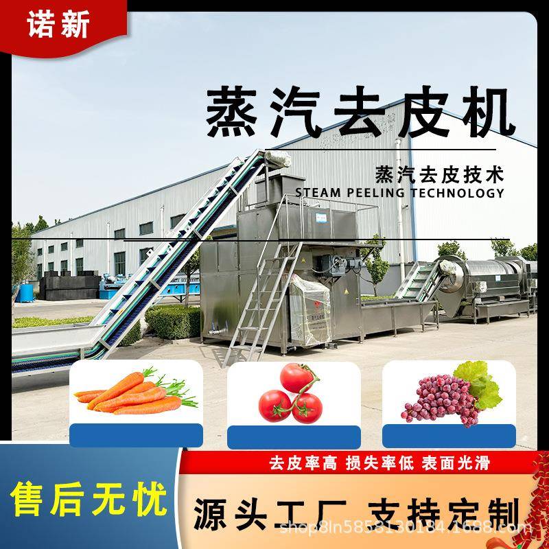诺新恩施小土豆蒸汽去皮机马铃薯脱皮专业设备油炸薯条薯片加