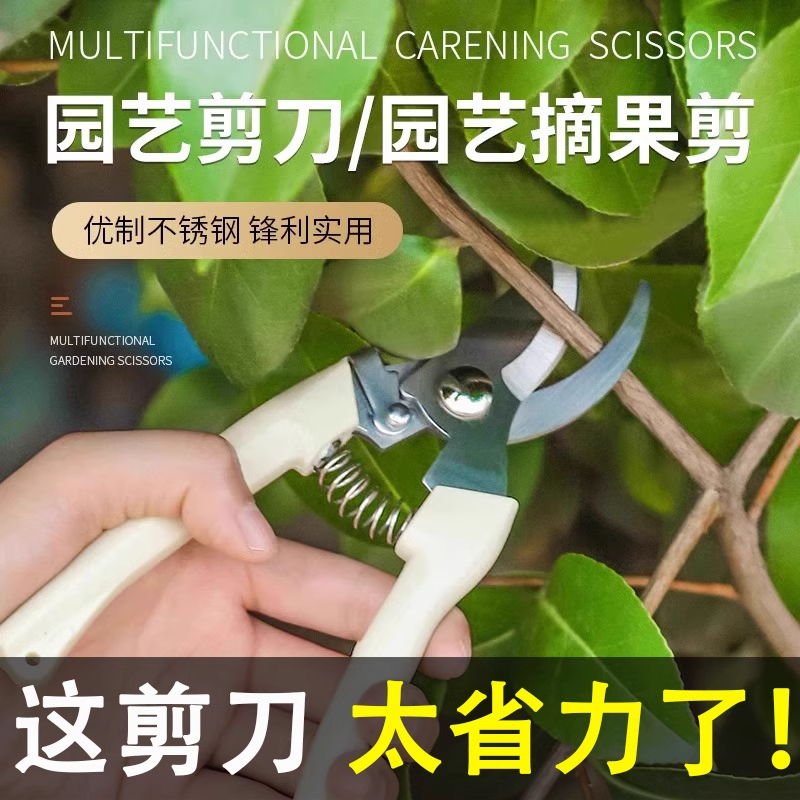 园艺园林果树剪刀修剪树枝