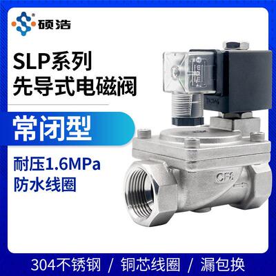 SLP-16P电磁阀220v24v不锈钢耐高压先导式水阀进水消防气阀DN1520