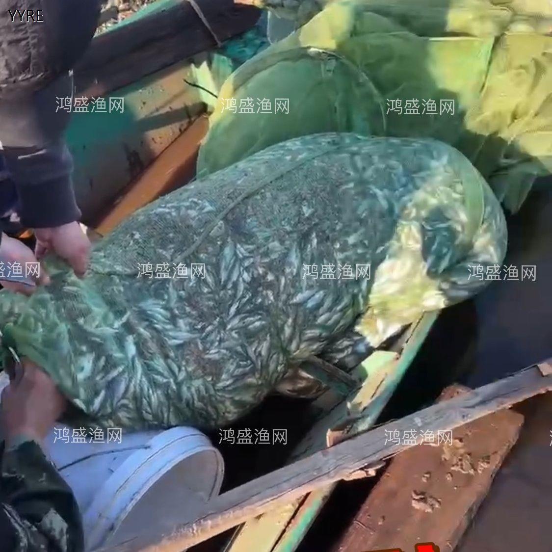 鱼笼虾笼纱窗网方格网带翅笼一头尾不锈钢框架笼加厚尾白洋淀新款