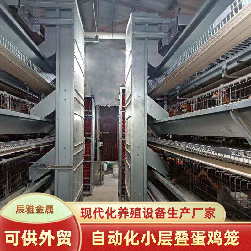 层叠式鸡笼农场养鸡蛋鸡笼全自动捡蛋清粪养殖设备养鸡场鸡笼子