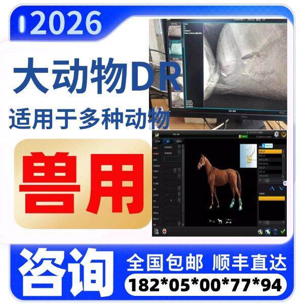兽用DR厂家 宠物DR 猫狗检查兽医宠物医院医疗设备DR兽用
