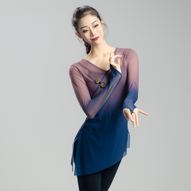 现代舞蹈练d功服身韵弹力网纱演出基训上衣渐变飘逸艺考女长袖套