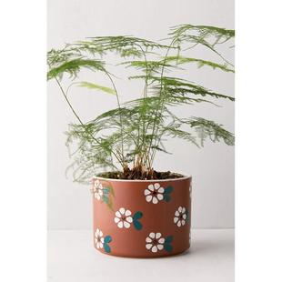 有孔花盆 日式 简约复古风手绘陶瓷花盆 绿植盆栽家居陶瓷装 饰摆件