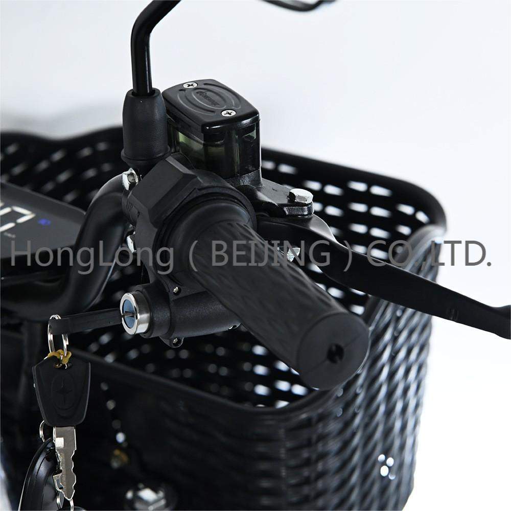 16寸48V60V21Ah电动自行车助力车锂电哈雷油刹出口外贸载重王外贸