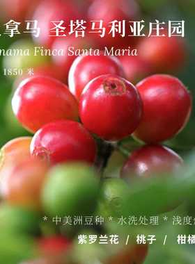 【AC Coffee】巴拿马 圣塔马利亚中美洲水洗 浅度烘焙 精品咖啡豆